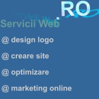 Custom software development